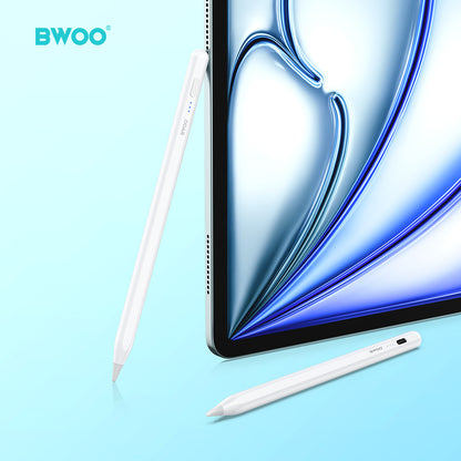BWOO Stylus Pen for Touchscreen Compatible with iPad(after 2018) CK01