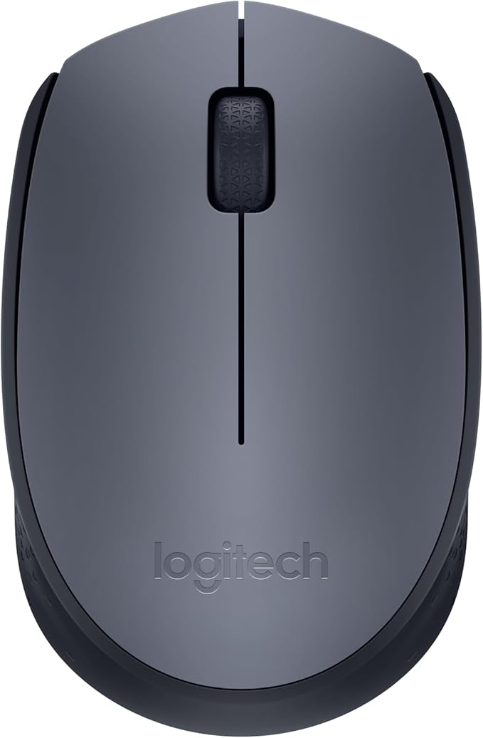 Logitech M170 Mouse